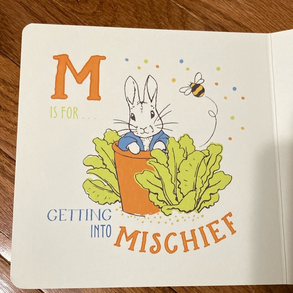 Peter Rabbit - P IS FOR PETER BOOK & PLUSH - Picture 12 of 14